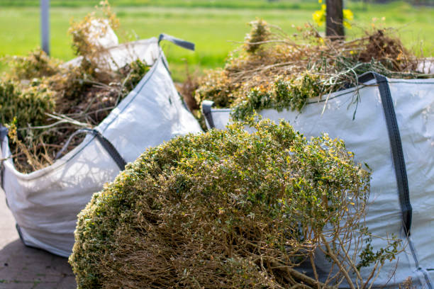 Best Dumpster Rental Services  in Walker, MI